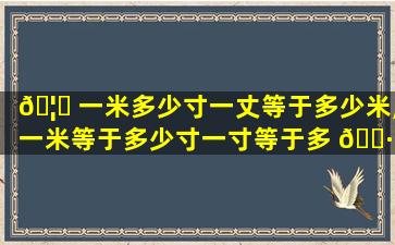 🦁 一米多少寸一丈等于多少米,一米等于多少寸一寸等于多 🌷 少厘米